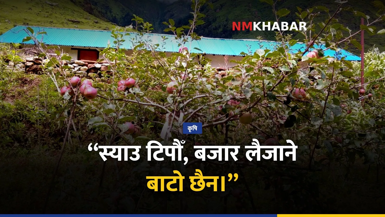 मुस्ताङ स्याउ, सडक अवरोध, किसान मर्का