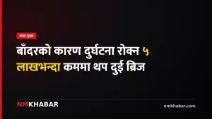 नारायणघाट बुटवल सडक, क्यानोपी ब्रिज