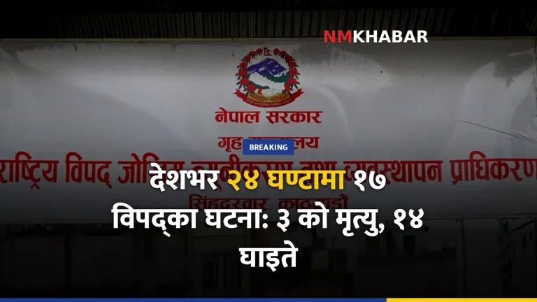 विपद् घटना, मृत्यु, घाइते