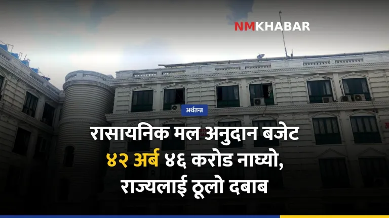 रासायनिक मल अनुदान, बजेट वृद्धि