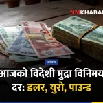 विदेशी विनिमय दर
