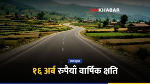 सडक दुर्घटना, विधेयक, आर्थिक क्षति