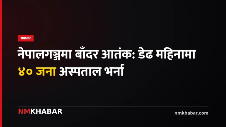 नेपालगञ्ज बाँदर आतंक