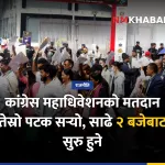 कांग्रेस महाधिवेशन मतदान