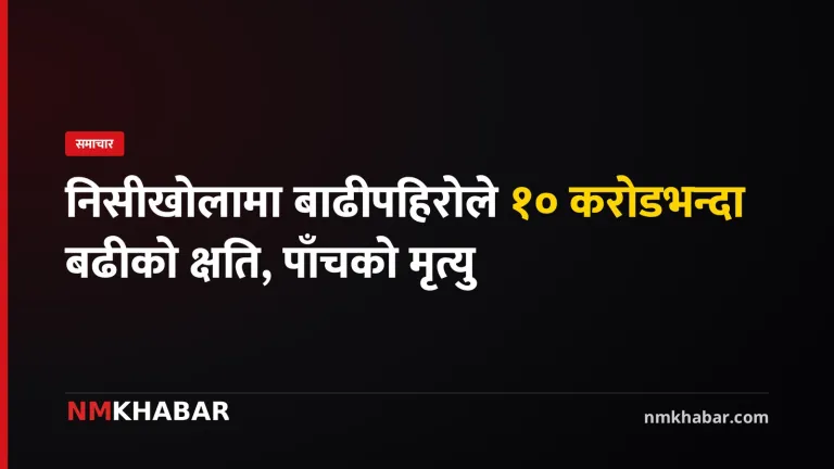 निसीखोलामा बाढीपहिरो