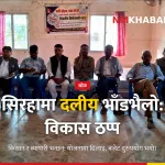 गैरदलीय स्थानीय निर्वाचन