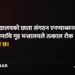 एनप्याब्सन निलम्बन