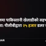 एनपीएल पाकिस्तानी खेलाडी
