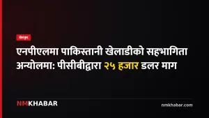 एनपीएल पाकिस्तानी खेलाडी