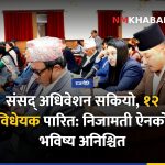 संसद् अधिवेशन, निजामती ऐन