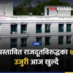 राजदूत सुनुवाइ, संसदीय समिति