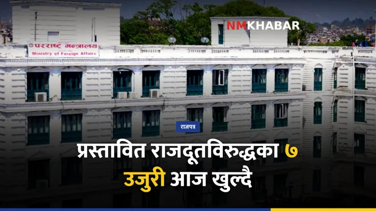 राजदूत सुनुवाइ, संसदीय समिति