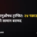 पर्सा प्रहरी