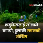 एम्बुलेन्स खोलाले बगायो, ठोरी माडी