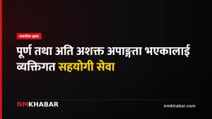 अपाङ्गता व्यक्तिगत सहयोगी