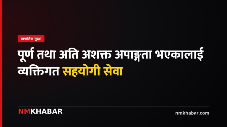 अपाङ्गता व्यक्तिगत सहयोगी