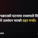 राष्ट्रिय स्वतन्त्र पार्टी
