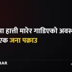 सप्तरी हात्ती मृत्यु