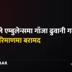 सप्तरी गाँजा बरामद