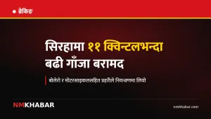 सिरहामा ११ क्विन्टल गाँजासहित बोलेरो र मोटरसाइकल बरामद