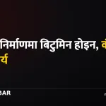 स्वदेशी सामग्री निर्देशिका