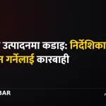 स्वदेशी उत्पादन निर्देशिका