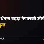 विश्व अर्थतन्त्र नेपाल